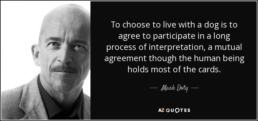 To choose to live with a dog is to agree to participate in a long process of interpretation, a mutual agreement though the human being holds most of the cards. - Mark Doty