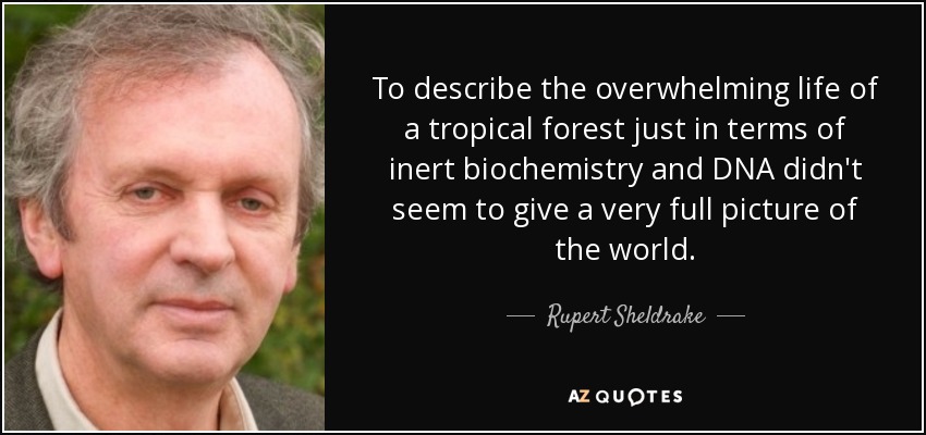 To describe the overwhelming life of a tropical forest just in terms of inert biochemistry and DNA didn't seem to give a very full picture of the world. - Rupert Sheldrake
