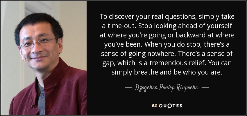 To discover your real questions, simply take a time-out. Stop looking ahead of yourself at where you’re going or backward at where you’ve been. When you do stop, there’s a sense of going nowhere. There’s a sense of gap, which is a tremendous relief. You can simply breathe and be who you are. - Dzogchen Ponlop Rinpoche