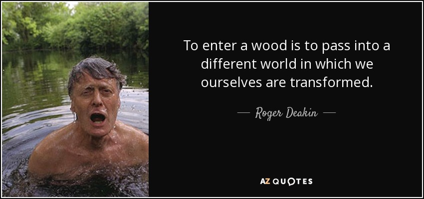 To enter a wood is to pass into a different world in which we ourselves are transformed. - Roger Deakin