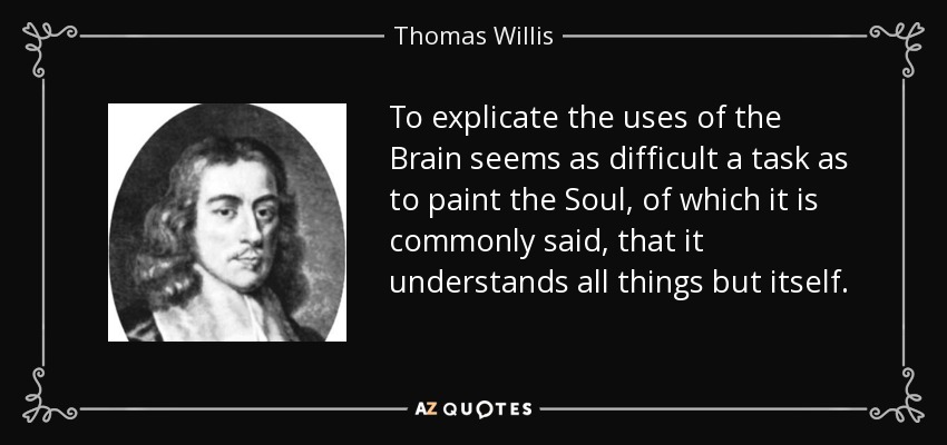 To explicate the uses of the Brain seems as difficult a task as to paint the Soul, of which it is commonly said, that it understands all things but itself. - Thomas Willis