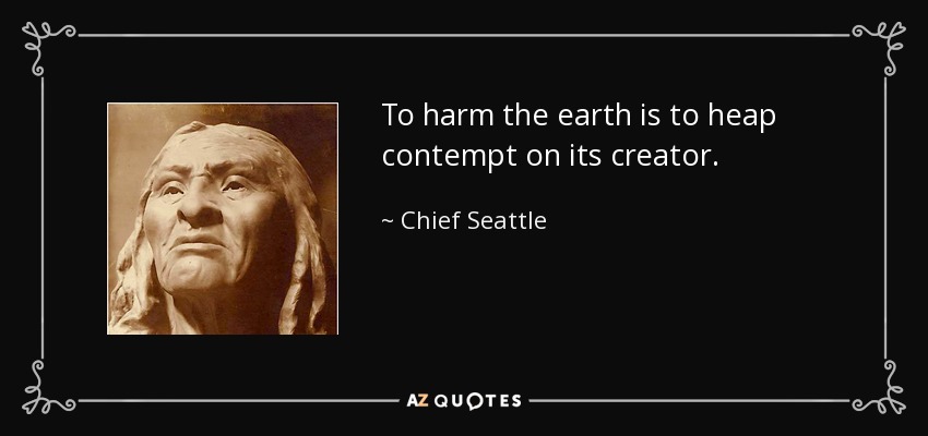To harm the earth is to heap contempt on its creator. - Chief Seattle