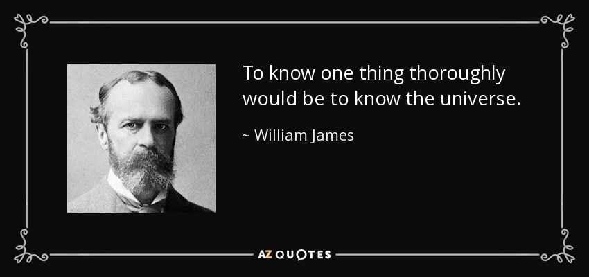 To know one thing thoroughly would be to know the universe. - William James