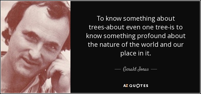 To know something about trees-about even one tree-is to know something profound about the nature of the world and our place in it. - Gerald Jonas