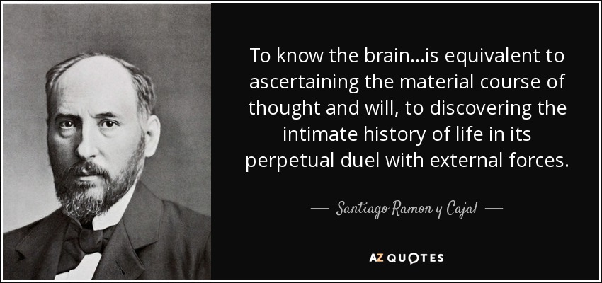 To know the brain...is equivalent to ascertaining the material course of thought and will, to discovering the intimate history of life in its perpetual duel with external forces. - Santiago Ramon y Cajal