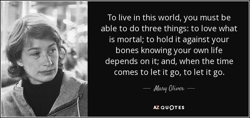 To live in this world, you must be able to do three things: to love what is mortal; to hold it against your bones knowing your own life depends on it; and, when the time comes to let it go, to let it go. - Mary Oliver