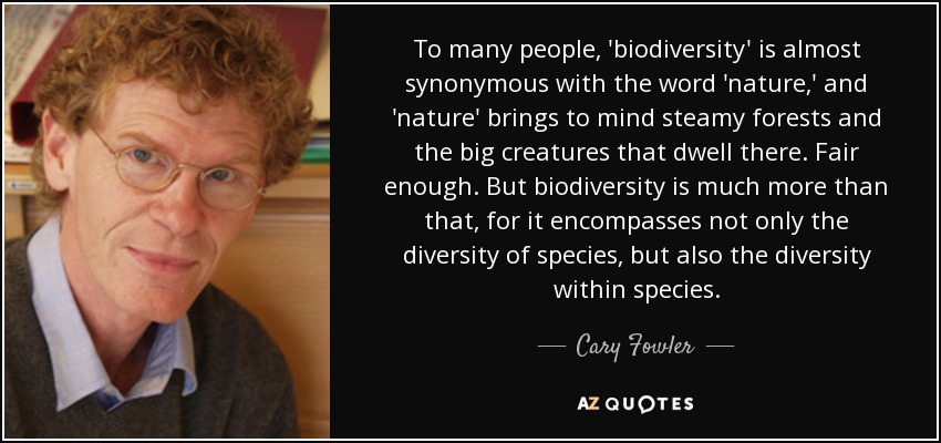 To many people, 'biodiversity' is almost synonymous with the word 'nature,' and 'nature' brings to mind steamy forests and the big creatures that dwell there. Fair enough. But biodiversity is much more than that, for it encompasses not only the diversity of species, but also the diversity within species. - Cary Fowler