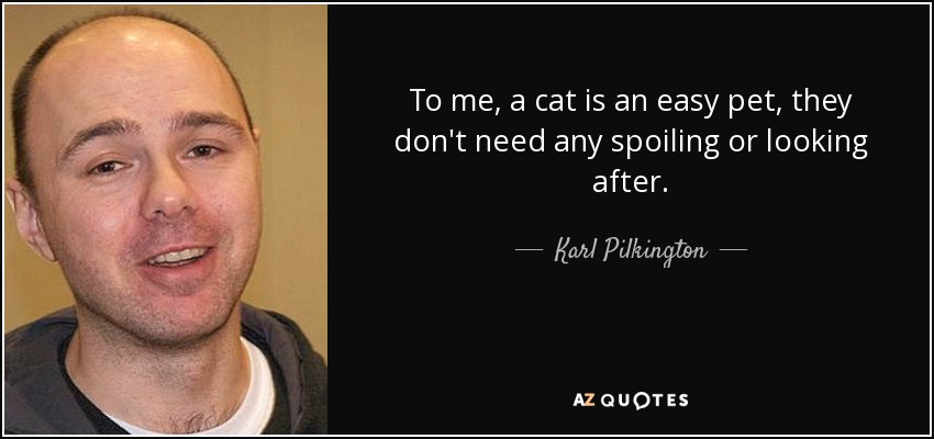 To me, a cat is an easy pet, they don't need any spoiling or looking after. - Karl Pilkington