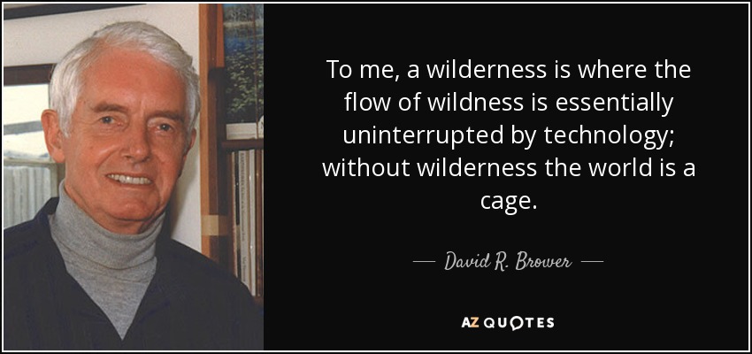 To me, a wilderness is where the flow of wildness is essentially uninterrupted by technology; without wilderness the world is a cage. - David R. Brower