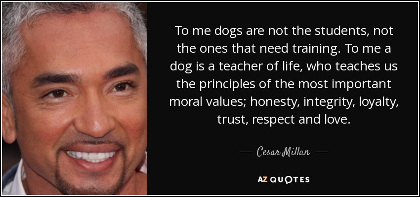 To me dogs are not the students, not the ones that need training. To me a dog is a teacher of life, who teaches us the principles of the most important moral values; honesty, integrity, loyalty, trust, respect and love. - Cesar Millan
