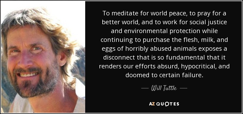To meditate for world peace, to pray for a better world, and to work for social justice and environmental protection while continuing to purchase the flesh, milk, and eggs of horribly abused animals exposes a disconnect that is so fundamental that it renders our efforts absurd, hypocritical, and doomed to certain failure. - Will Tuttle