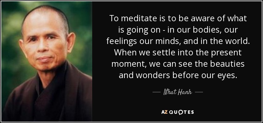 To meditate is to be aware of what is going on - in our bodies, our feelings our minds, and in the world. When we settle into the present moment, we can see the beauties and wonders before our eyes. - Nhat Hanh