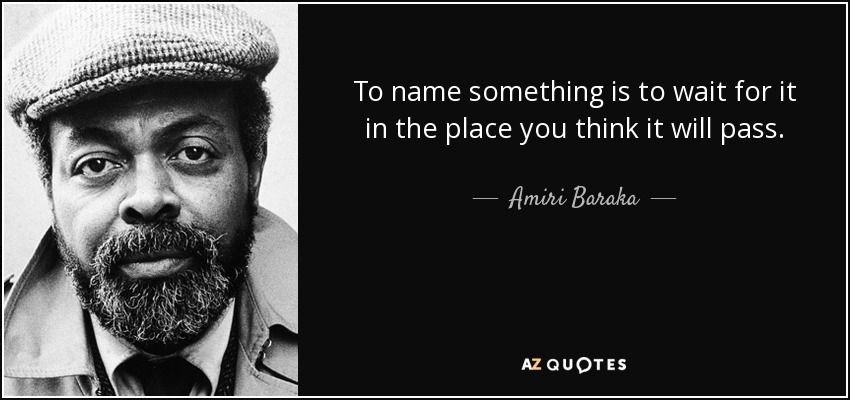 To name something is to wait for it in the place you think it will pass. - Amiri Baraka