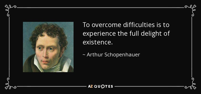 To overcome difficulties is to experience the full delight of existence. - Arthur Schopenhauer