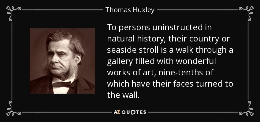 To persons uninstructed in natural history, their country or seaside stroll is a walk through a gallery filled with wonderful works of art, nine-tenths of which have their faces turned to the wall. - Thomas Huxley