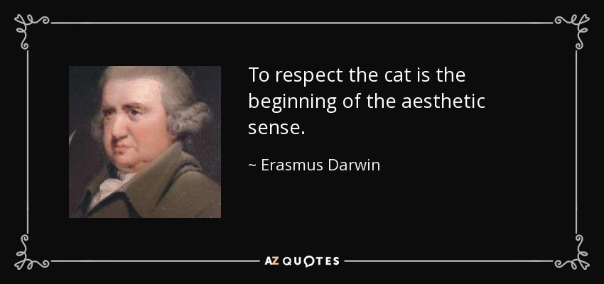 To respect the cat is the beginning of the aesthetic sense. - Erasmus Darwin