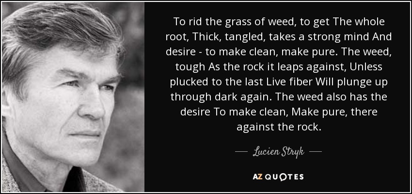 To rid the grass of weed, to get The whole root, Thick, tangled, takes a strong mind And desire - to make clean, make pure. The weed, tough As the rock it leaps against, Unless plucked to the last Live fiber Will plunge up through dark again. The weed also has the desire To make clean, Make pure, there against the rock. - Lucien Stryk