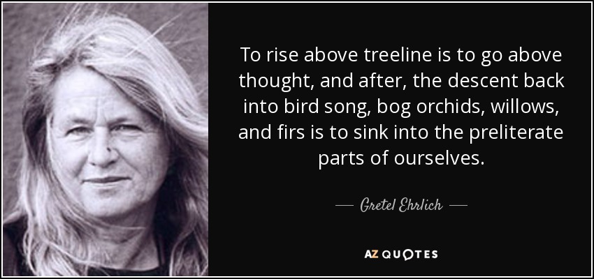 To rise above treeline is to go above thought, and after, the descent back into bird song, bog orchids, willows, and firs is to sink into the preliterate parts of ourselves. - Gretel Ehrlich