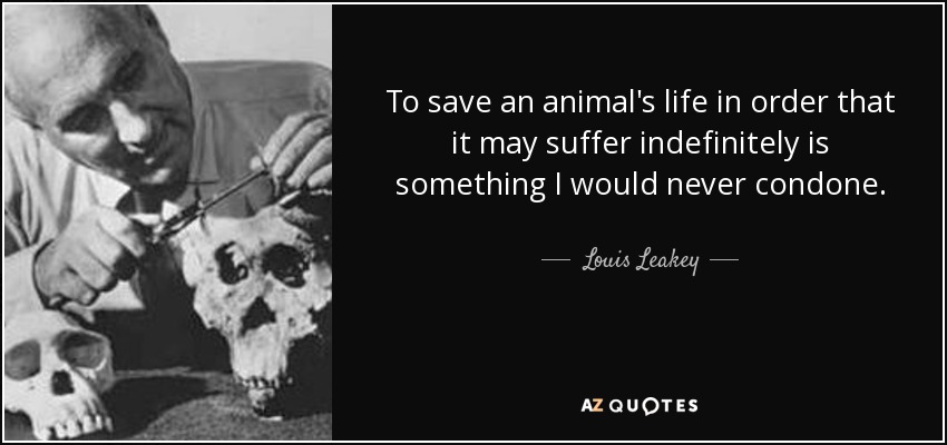 To save an animal's life in order that it may suffer indefinitely is something I would never condone. - Louis Leakey