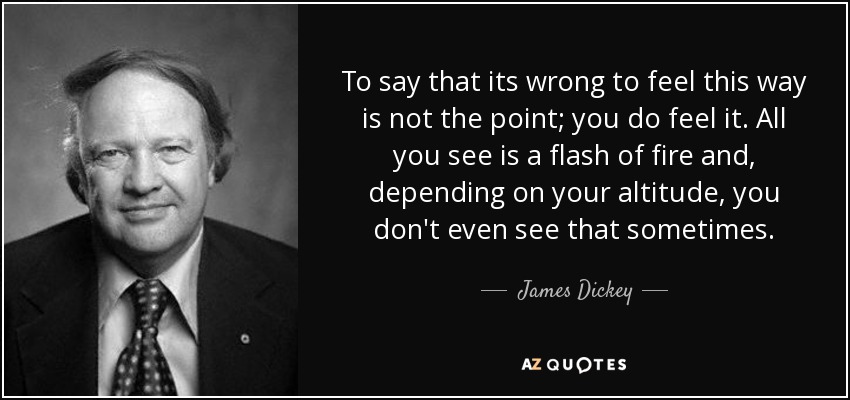 To say that its wrong to feel this way is not the point; you do feel it. All you see is a flash of fire and, depending on your altitude, you don't even see that sometimes. - James Dickey
