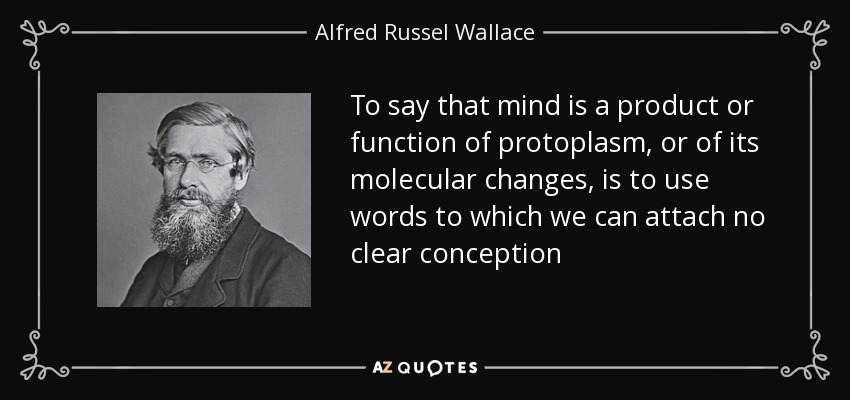 To say that mind is a product or function of protoplasm, or of its molecular changes, is to use words to which we can attach no clear conception - Alfred Russel Wallace