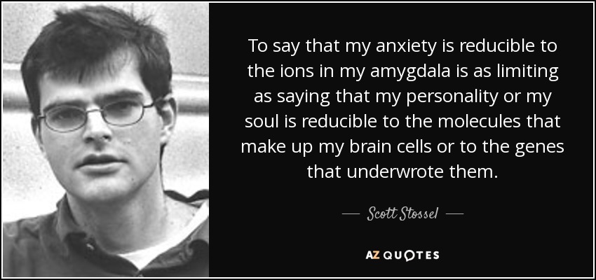 To say that my anxiety is reducible to the ions in my amygdala is as limiting as saying that my personality or my soul is reducible to the molecules that make up my brain cells or to the genes that underwrote them. - Scott Stossel