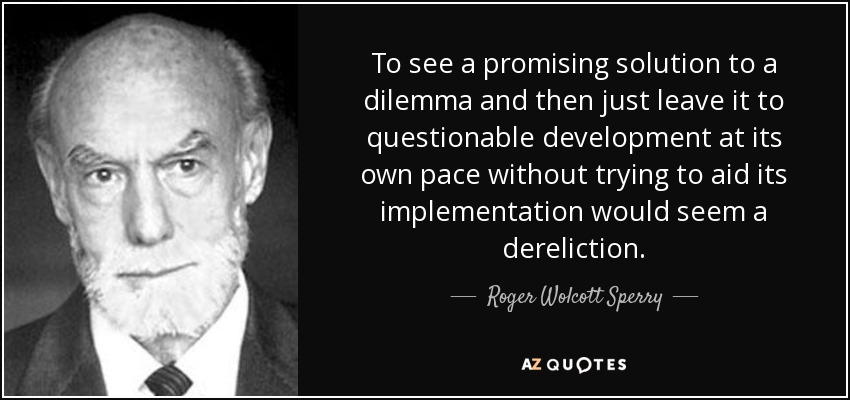 To see a promising solution to a dilemma and then just leave it to questionable development at its own pace without trying to aid its implementation would seem a dereliction. - Roger Wolcott Sperry