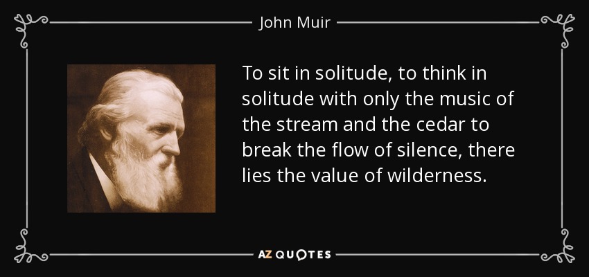 To sit in solitude, to think in solitude with only the music of the stream and the cedar to break the flow of silence, there lies the value of wilderness. - John Muir