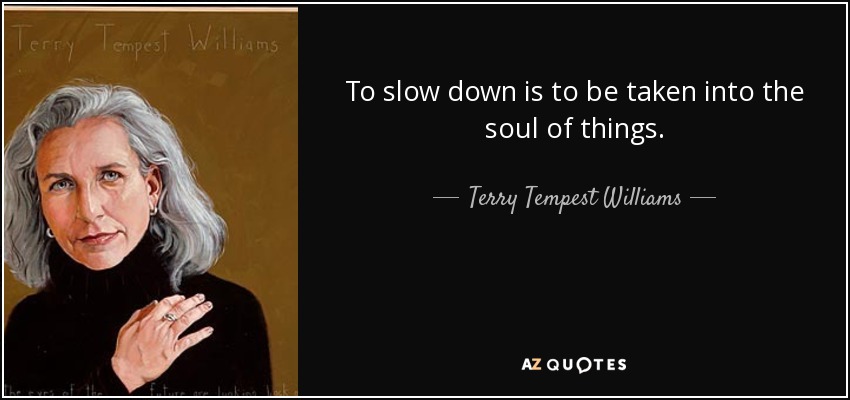 To slow down is to be taken into the soul of things. - Terry Tempest Williams