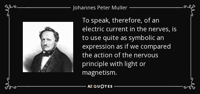 To speak, therefore, of an electric current in the nerves, is to use quite as symbolic an expression as if we compared the action of the nervous principle with light or magnetism. - Johannes Peter Muller