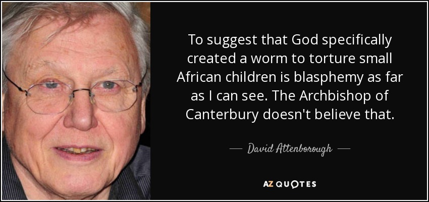 To suggest that God specifically created a worm to torture small African children is blasphemy as far as I can see. The Archbishop of Canterbury doesn't believe that. - David Attenborough