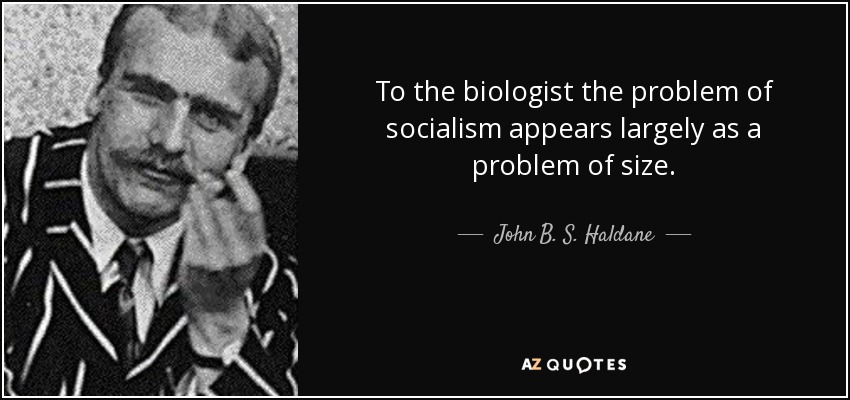To the biologist the problem of socialism appears largely as a problem of size. - John B. S. Haldane