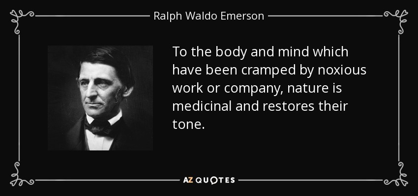 To the body and mind which have been cramped by noxious work or company, nature is medicinal and restores their tone. - Ralph Waldo Emerson