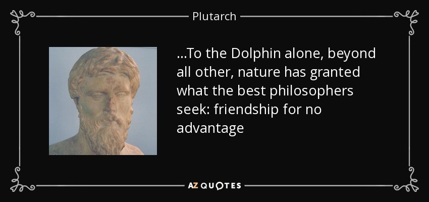 ...To the Dolphin alone, beyond all other, nature has granted what the best philosophers seek: friendship for no advantage - Plutarch