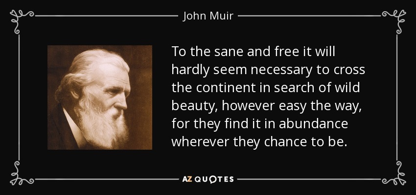To the sane and free it will hardly seem necessary to cross the continent in search of wild beauty, however easy the way, for they find it in abundance wherever they chance to be. - John Muir