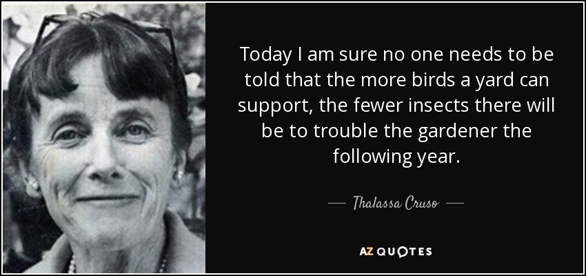 Today I am sure no one needs to be told that the more birds a yard can support, the fewer insects there will be to trouble the gardener the following year. - Thalassa Cruso