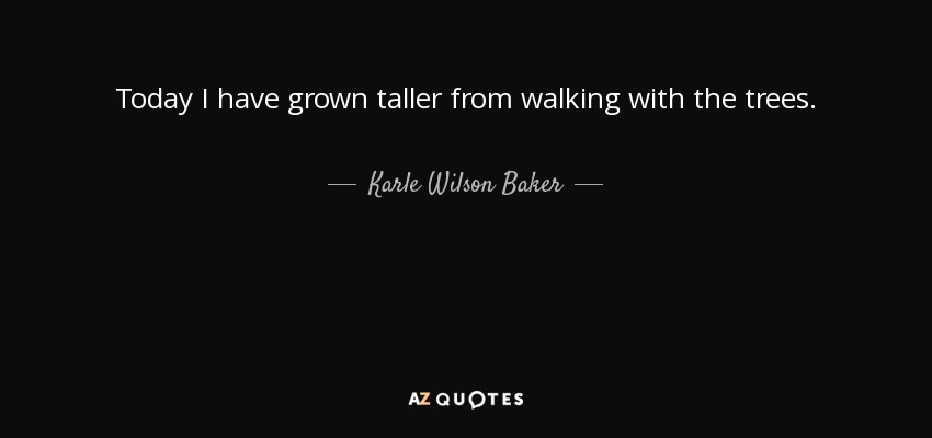 Today I have grown taller from walking with the trees. - Karle Wilson Baker