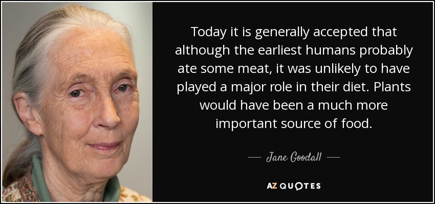 Today it is generally accepted that although the earliest humans probably ate some meat, it was unlikely to have played a major role in their diet. Plants would have been a much more important source of food. - Jane Goodall