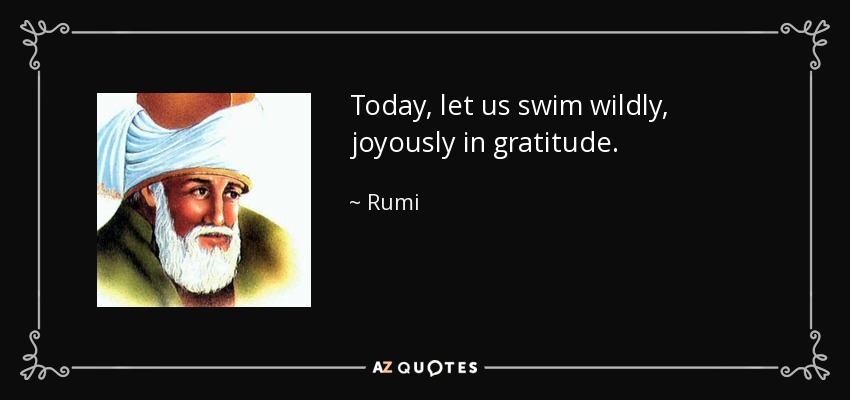Today, let us swim wildly, joyously in gratitude. - Rumi