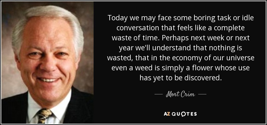 Today we may face some boring task or idle conversation that feels like a complete waste of time. Perhaps next week or next year we'll understand that nothing is wasted, that in the economy of our universe even a weed is simply a flower whose use has yet to be discovered. - Mort Crim