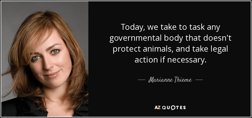 Today, we take to task any governmental body that doesn't protect animals, and take legal action if necessary. - Marianne Thieme