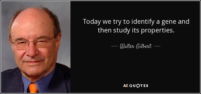 Today we try to identify a gene and then study its properties. - Walter Gilbert