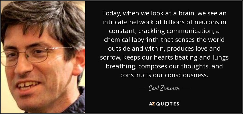 Today, when we look at a brain, we see an intricate network of billions of neurons in constant, crackling communication, a chemical labyrinth that senses the world outside and within, produces love and sorrow, keeps our hearts beating and lungs breathing, composes our thoughts, and constructs our consciousness. - Carl Zimmer