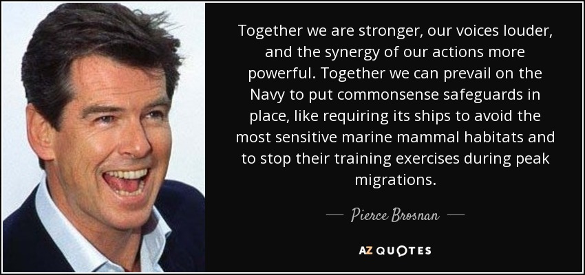 Together we are stronger, our voices louder, and the synergy of our actions more powerful. Together we can prevail on the Navy to put commonsense safeguards in place, like requiring its ships to avoid the most sensitive marine mammal habitats and to stop their training exercises during peak migrations. - Pierce Brosnan