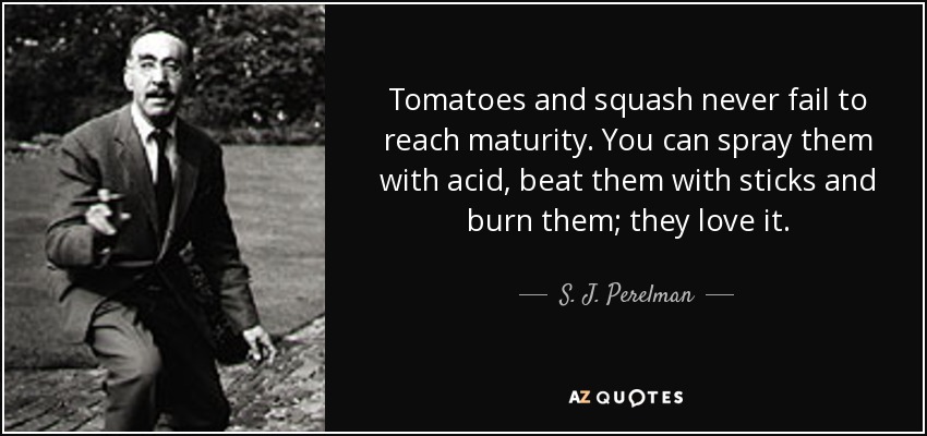 Tomatoes and squash never fail to reach maturity. You can spray them with acid, beat them with sticks and burn them; they love it. - S. J. Perelman
