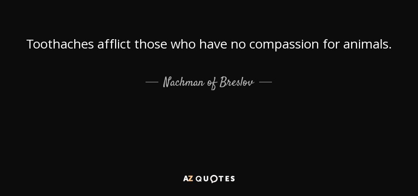 Toothaches afflict those who have no compassion for animals. - Nachman of Breslov
