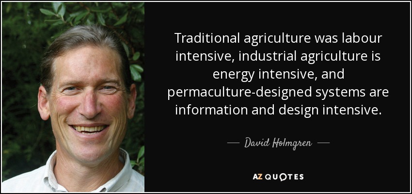 Traditional agriculture was labour intensive, industrial agriculture is energy intensive, and permaculture-designed systems are information and design intensive. - David Holmgren