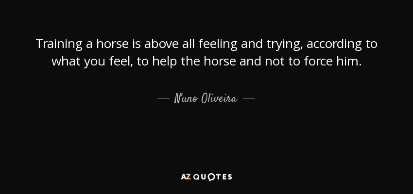 Training a horse is above all feeling and trying, according to what you feel, to help the horse and not to force him. - Nuno Oliveira
