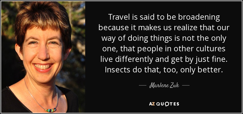 Travel is said to be broadening because it makes us realize that our way of doing things is not the only one, that people in other cultures live differently and get by just fine. Insects do that, too, only better. - Marlene Zuk