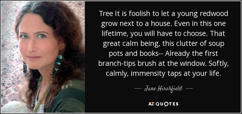 Tree It is foolish to let a young redwood grow next to a house. Even in this one lifetime, you will have to choose. That great calm being, this clutter of soup pots and books-- Already the first branch-tips brush at the window. Softly, calmly, immensity taps at your life. - Jane Hirshfield